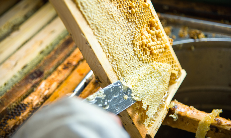 mercado do mel