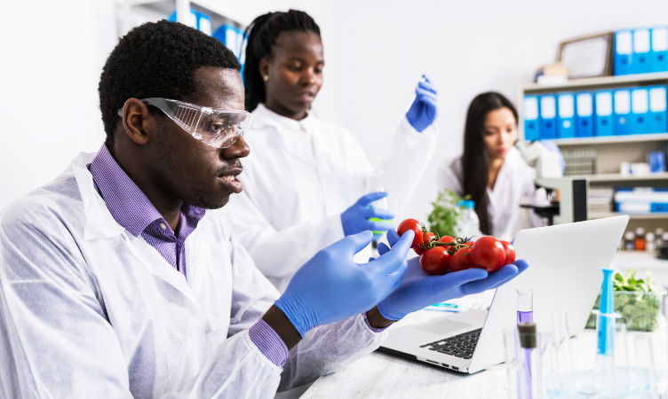 Imagem destaque do blogpost do Sebrae RS sobre foodtechs no Brasil. Nela temos três técnicos em alimentos trabalhando em um laboratório de testes e análises. O homem segura em sua mão um cacho de tomates enquanto as outras duas mulheres fazem testes.