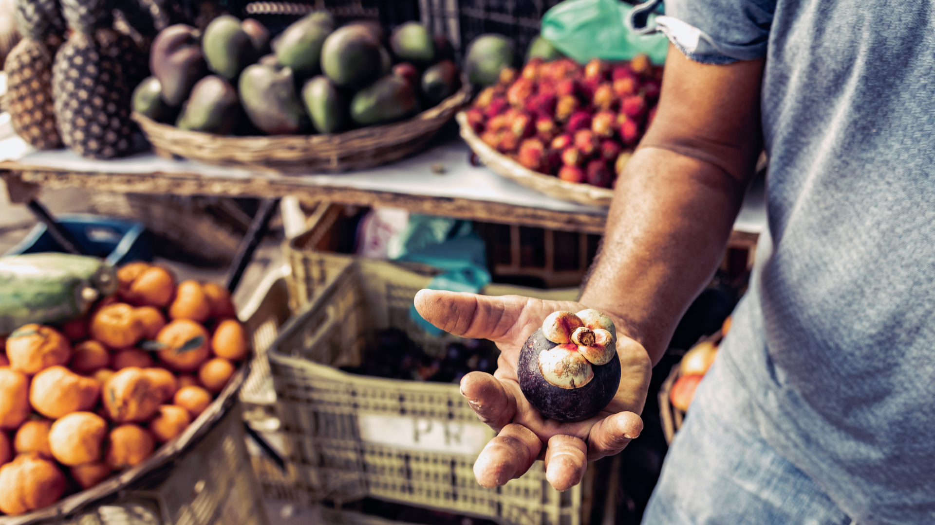 comercialização de produtos do campo