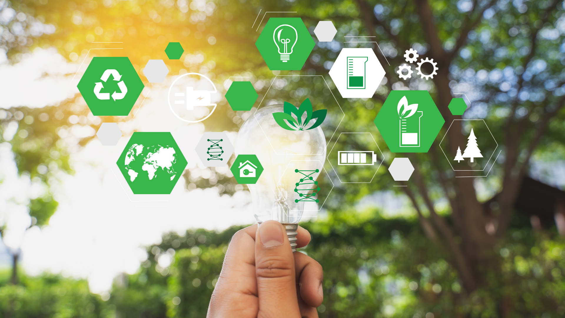 Imagem destaque do blog post do Sebrae RS Onda Verde 2.0: oportunidades para PMEs no RS