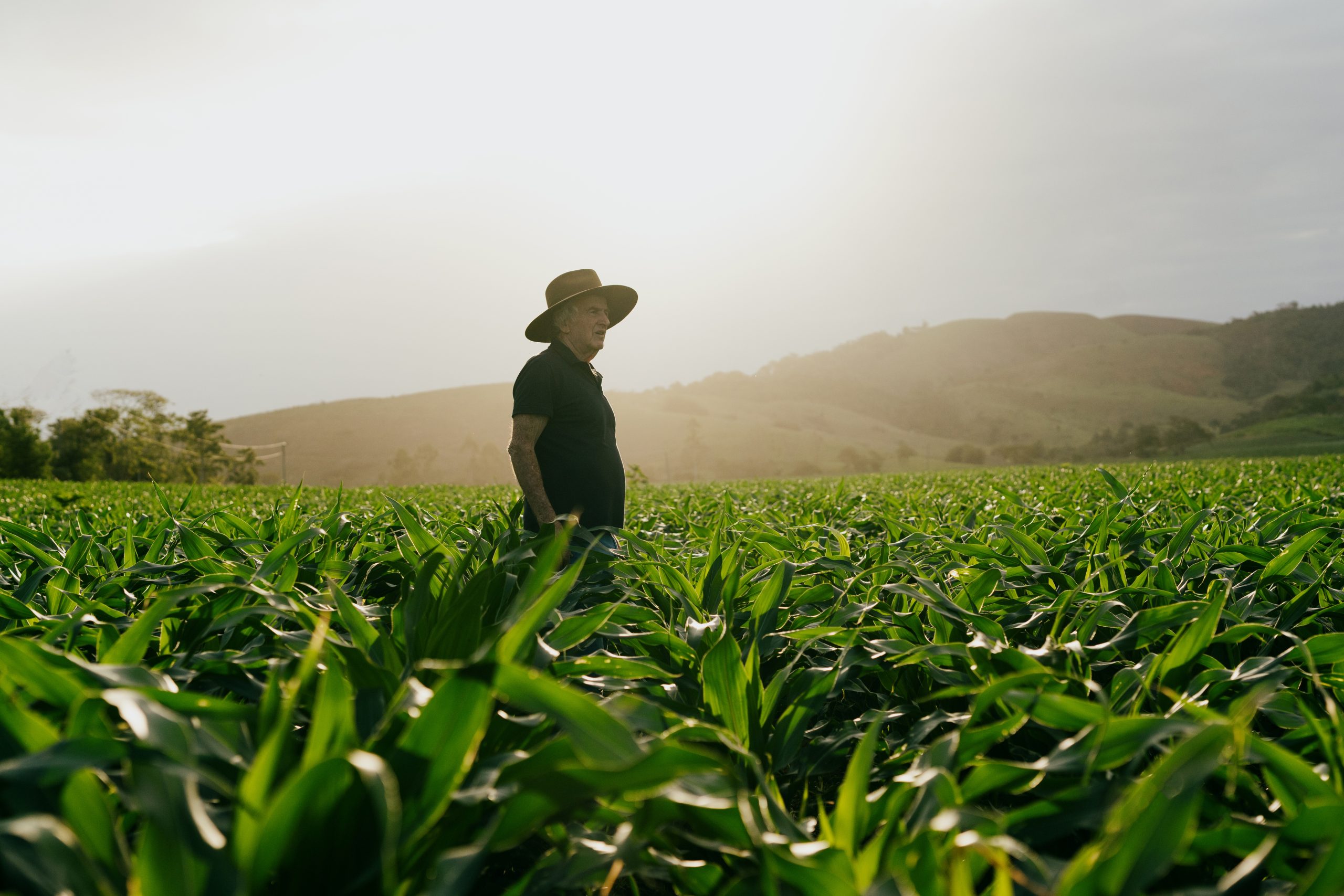 Produtor rural em meio à plantação, simbolizando o trabalho no campo.
