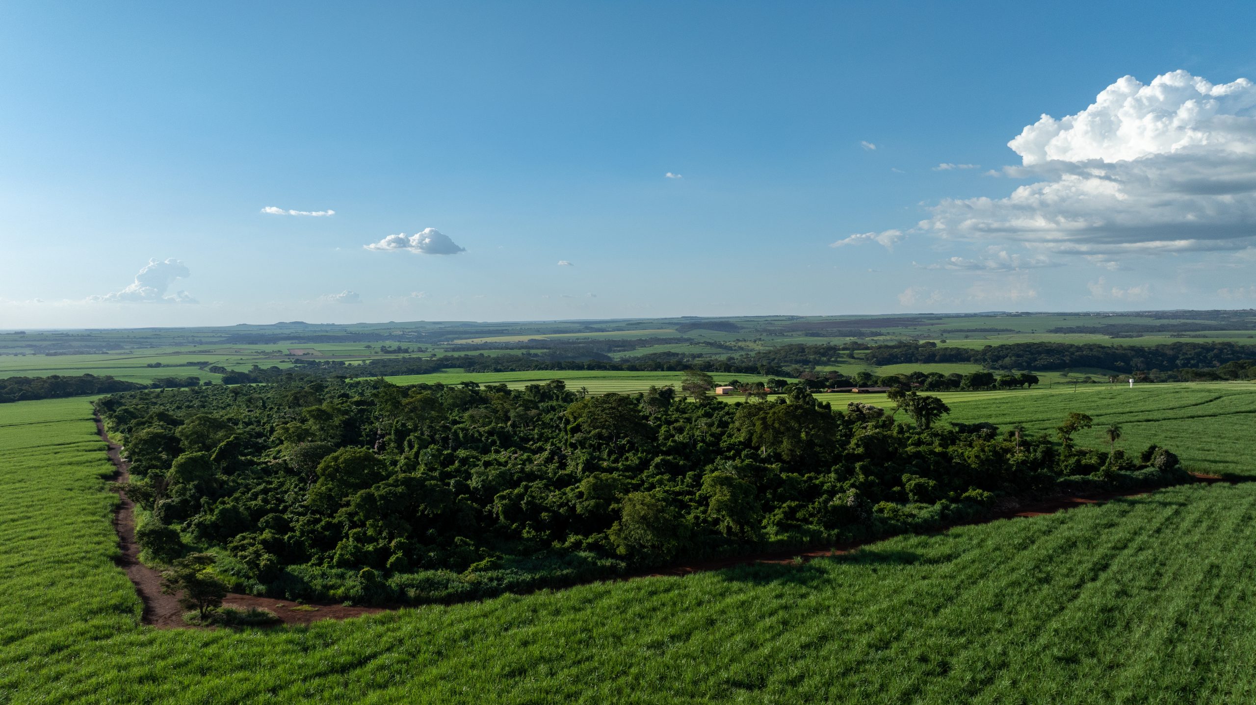 Imagem destaque do post Mercado de Carbono. Imagem contém paisagem rural com vegetação abundante e campos verdes sob um céu azul.