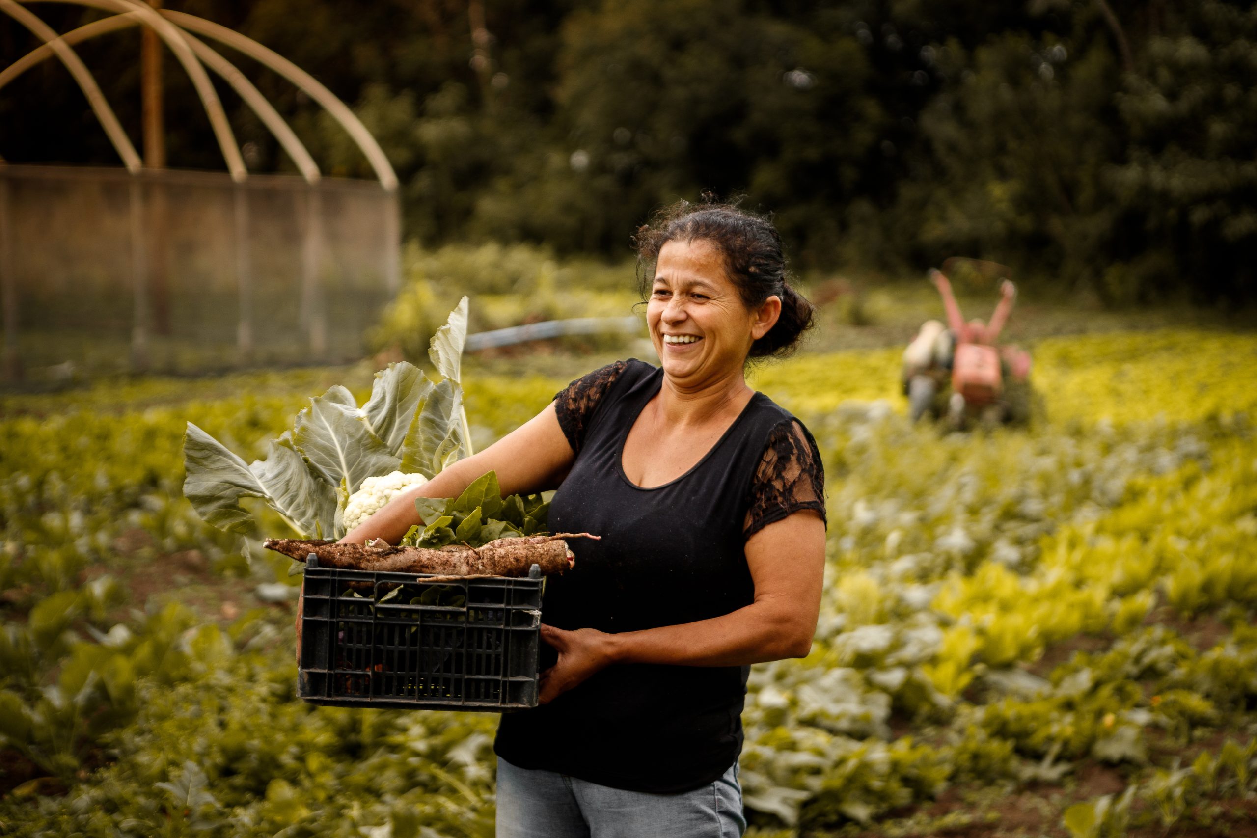 Imagem destaque do blog Segurança dos alimentos. Agricultora sorridente transporta uma caixa de legumes frescos numa plantação.